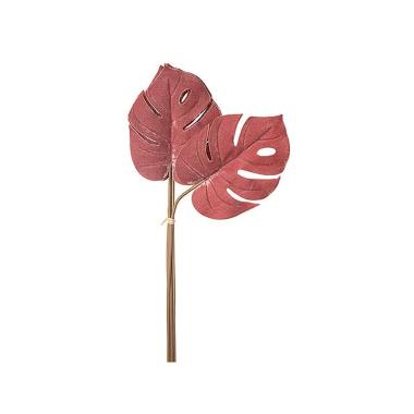 Mazzo filodendro 6foglie mauve n22802 $