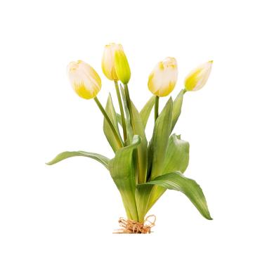 Fascio tulipani nat tou 35cm bia a23973