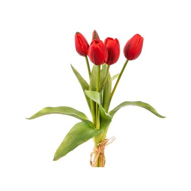 Fascio tulipani nat to 35cm ross a23973